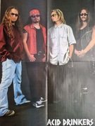 UNIKAT! Plakat ACID DRINKERS - Format A2 - NOWY!