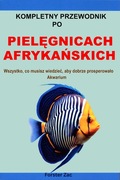 Kompletny przewodnik po Pielęgnicach afrykańskich