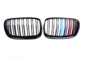 Nerki grill BMW X5M E70 X6 E71 E72 ALPINA M-PAKIET