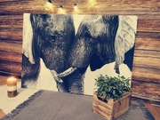 OBRAZ NA ŚCIANĘ Słonie 120x80 Prezent Na Święta