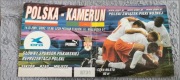 Bilet z meczu Polska - Kamerun 2001 rok