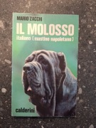 Il Molosso italiano Mario Zacchi