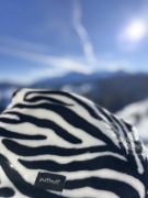 Komin na szyję zebra