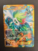 Shaymin EX (ROS 77a)