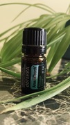 Olejek eteryczny do masażu DoTERRA Aroma Touch 5 ml AromaTouch