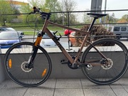 Rower BMC AlpenChallenge 02 koła 29" rama 19" Shimano Nexus