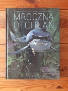 Mroczna otchłań tom 1 komiks