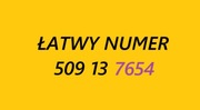 Złoty srebrny łatwy numer 509 13 7654 BCM starter prosty karta prepaid SIM