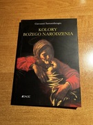 Kolory Bożego Narodzenia. Giovanni Santambrogio