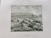 Grafika do oprawienia – Stefan Filipkiewicz: Pole kapusty