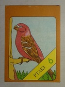 KOLOROWANKA Z PRL - PTAKI 6 - PRODRYN SOSNOWIEC