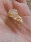 Czaszka chomika z kryształem górskim