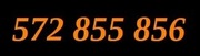 ZŁOTY, PROSTY, ŁATWY NUMER 572 855 856 Orange