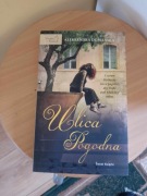Ulica Pogodna Aleksandra Domańska