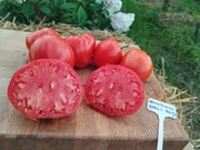 MINUSINSK BALLS RED nasiona Pomidor Kolekcjonerski