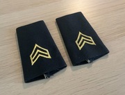 US Army - Shoulder Marks, Enlisted - Sergeant E-5 (SGT) - female - para