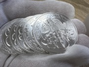 Wiedeński Filharmonik 1 uncja Serba 2023 x 20 sztuk 