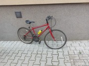 Rower Apollo z 1999 roku 