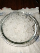 Kryształy japońskie (algi japońskie)