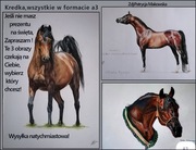 Rysunek,tabliczka,reklama