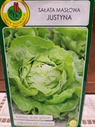 Sałata masłowa 'Justyna'