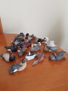 Ptaki wodne Waterfowl Collection 