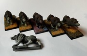 Vampire Counts - 6x Dire Wolves