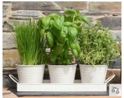 LEAFLMPACT ZESTAW 3 DONICZEK NA TACY METALOWEJ BIAŁA.