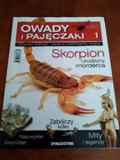OWADY I PAJĘCZAKI 1 DE AGOSTINI 2007 SAMA GAZETKA