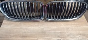 Grill BMW F10/F11 