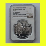 #NGC# ŻUBR 2013 20zł PF70 Trójmiasto ___tylko 6szt