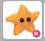 Starfish adopt me pet/Ride:Yes/Fly:No/Age:Post-teen