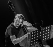 Lekcje gitary basowej, kontrabasu