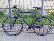 Rower Single-Speed Trizand 28" - Urban Lite Version