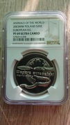20zł.2003r.Węgorz Europejski-NGC PF69