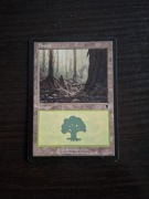 Forest. Magic The Gathering 