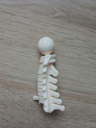 Kręgi szyjne kostek szkielet ciało człowieka National Geographic