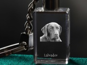 Labrador Retriever brelok sześcienny ŚWIECĄCY 
