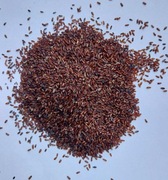 Babka płesznik ziarno 10kg