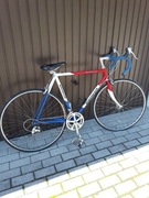 Rower Batavus Criterium