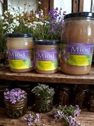 Miód faceliowy 650 g