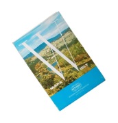 Mapa Wisły 1991 r. 1 : 10 000  Witański