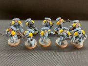 Warhammer 40k Space Wolves Assault Intercessors x10