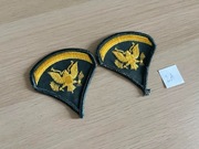 Naszywka - US Army - Specialist 5 E-5 (Green/Gold) SP2 - para