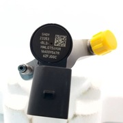 4 wtryski - 166009567R  Mastern, Movano, Nissan