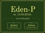 Tabliczki na boksy dla koni - butelkowa zieleń