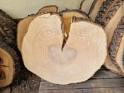 13 JESION 65/61/9 cm Blat Plaster Drewna Stolik Żywica Epoxy DIY Live Edge