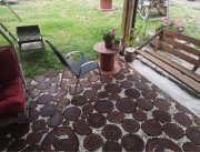 Krążki dębowe drewniane plaster dębu dąb dębina