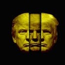 Poe exalted orb 10 standard  PC 