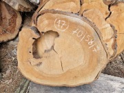 Plaster Drewna Czereśnia 70/58/7 cm Blat Stolik Żywica DIY